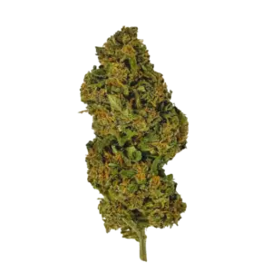 Fleur CBD Skywalker Green House 🌌🌿