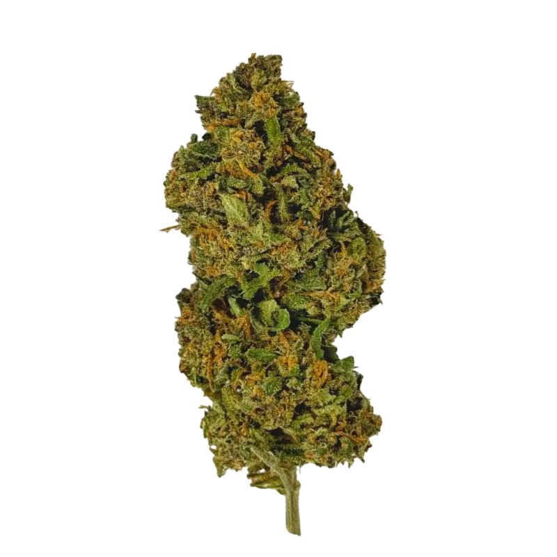 Fleur CBD Skywalker Green House 🌌🌿