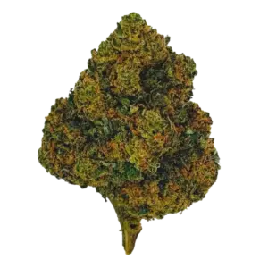 Fleur CBD Fruit Cake Green House 🎂🌿