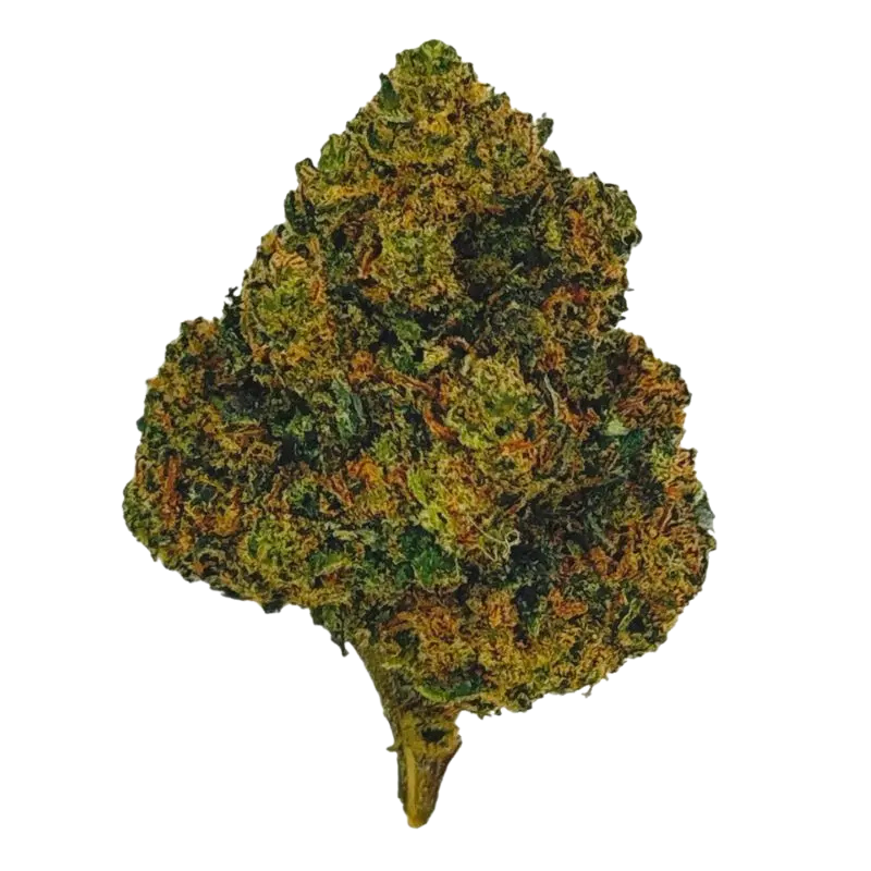Fleur CBD Fruit Cake Green House 🎂🌿