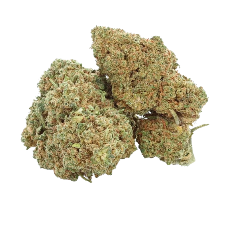 Fleur CBD Amnesia Haze Indoor 🌼🌿