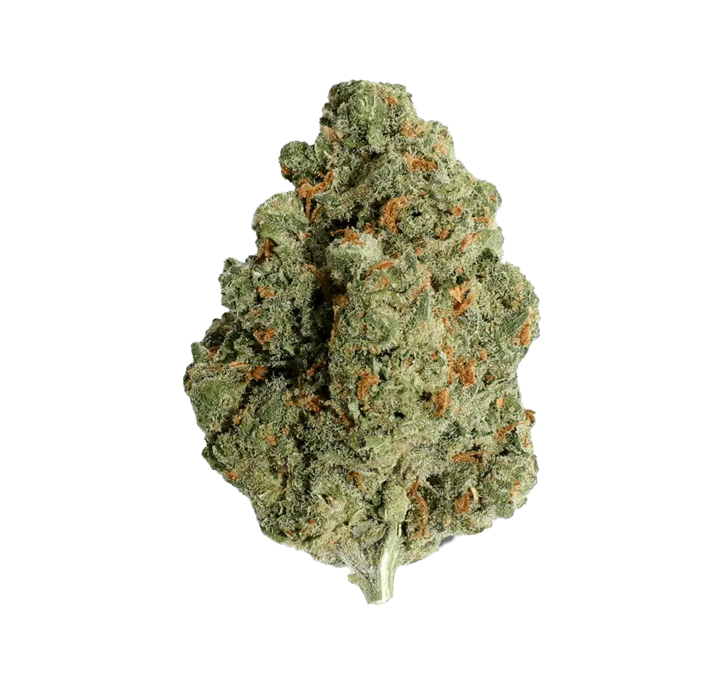Fleur CBD Amnesia Hydro Indoor 🍋🌿