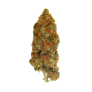 Fleur CBD Mango Haze Indoor 🥭🌿