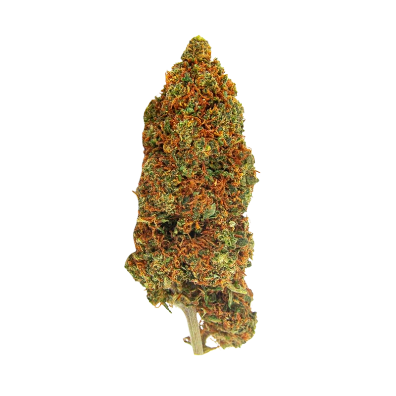 Fleur CBD Mango Haze Indoor 🥭🌿
