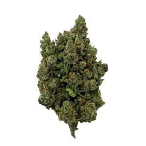 Fleur CBD Orange Sherbet Indoor 🍊🌿