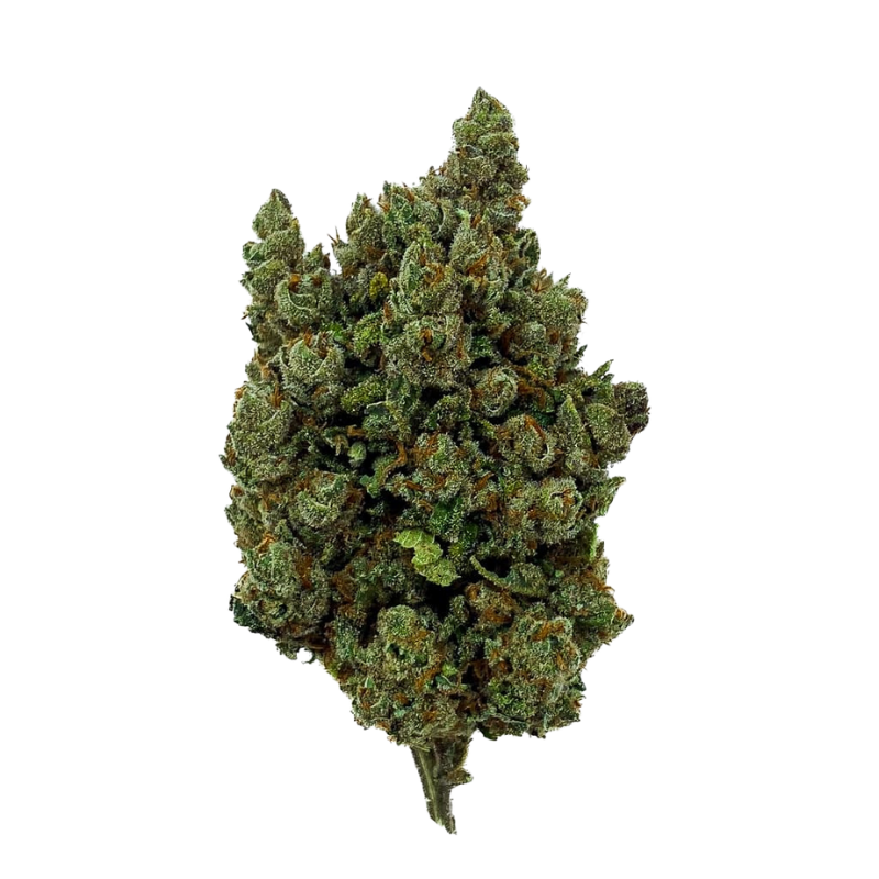 Fleur CBD Orange Sherbet Indoor 🍊🌿