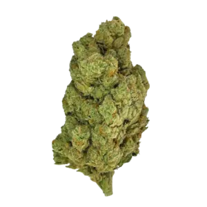 Fleur MCPN Amnesia 50% 🍋🌿