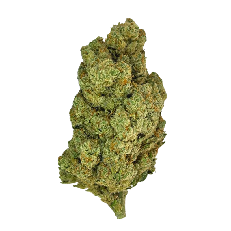 Fleur MCPN Amnesia 50% 🍋🌿