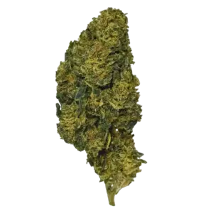Fleur CBG9 G13 40% 🌲🌿