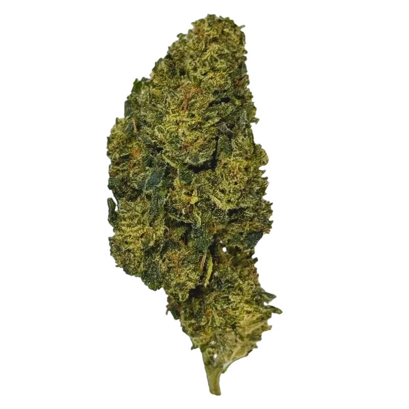 Fleur CBG9 G13 40% 🌲🌿