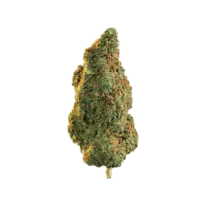 Fleur CBG9 Orange Bud 50% 🍊🌿
