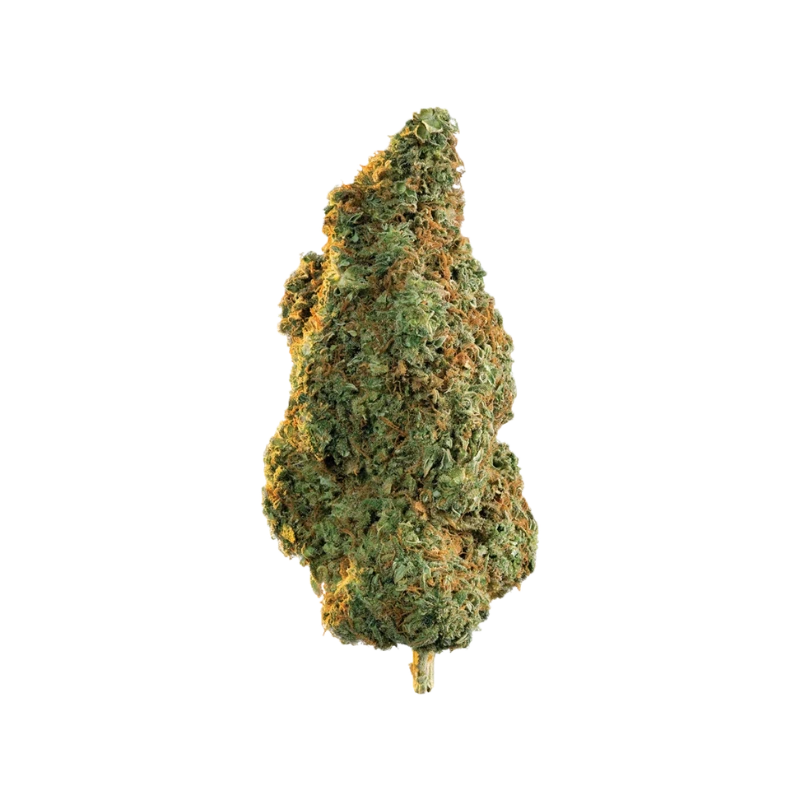 Fleur CBG9 Orange Bud 50% 🍊🌿