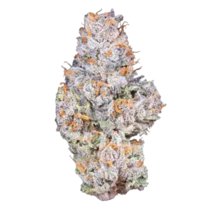 Fleur THCX Gelato 20% 🇨🇭🍦🌿
