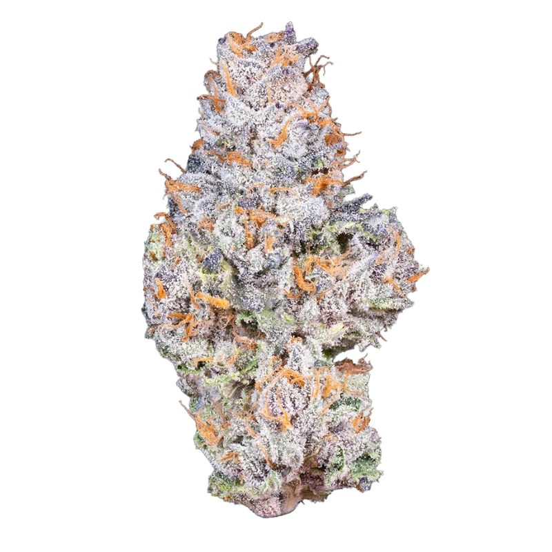 Fleur THCX Gelato 20% 🇨🇭🍦🌿