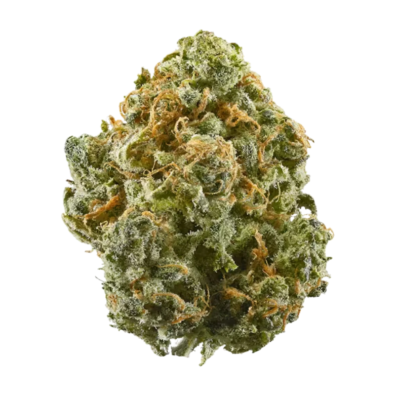 Fleur THV-N10 Sour Lemonade 40% 🇨🇭🍋🌿