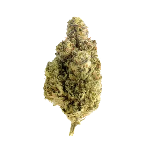 Fleur CBD Og Kush Indoor 🌲🌿