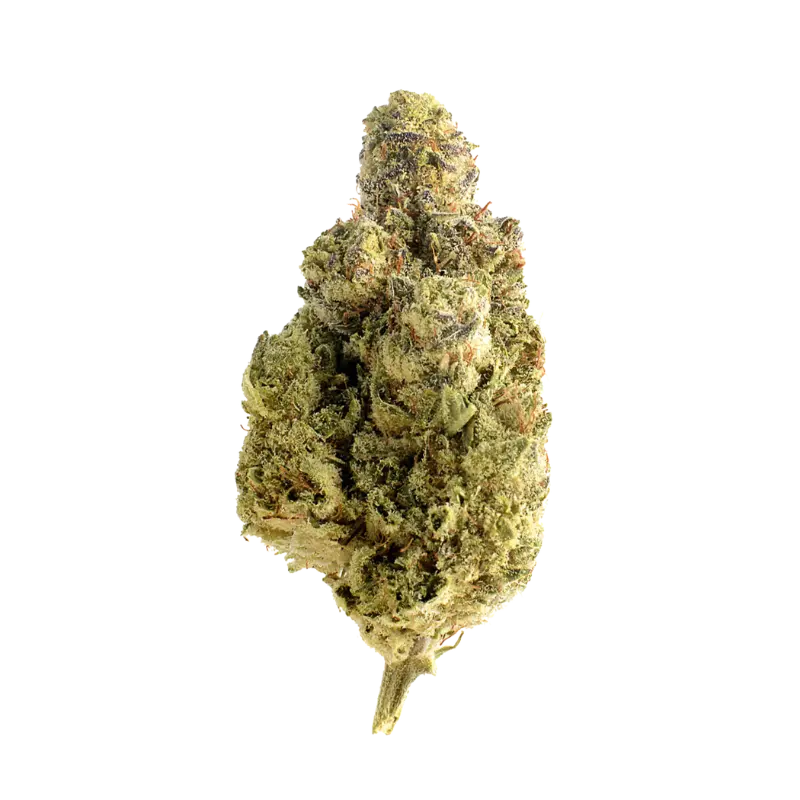 Fleur CBD Og Kush Indoor 🌲🌿