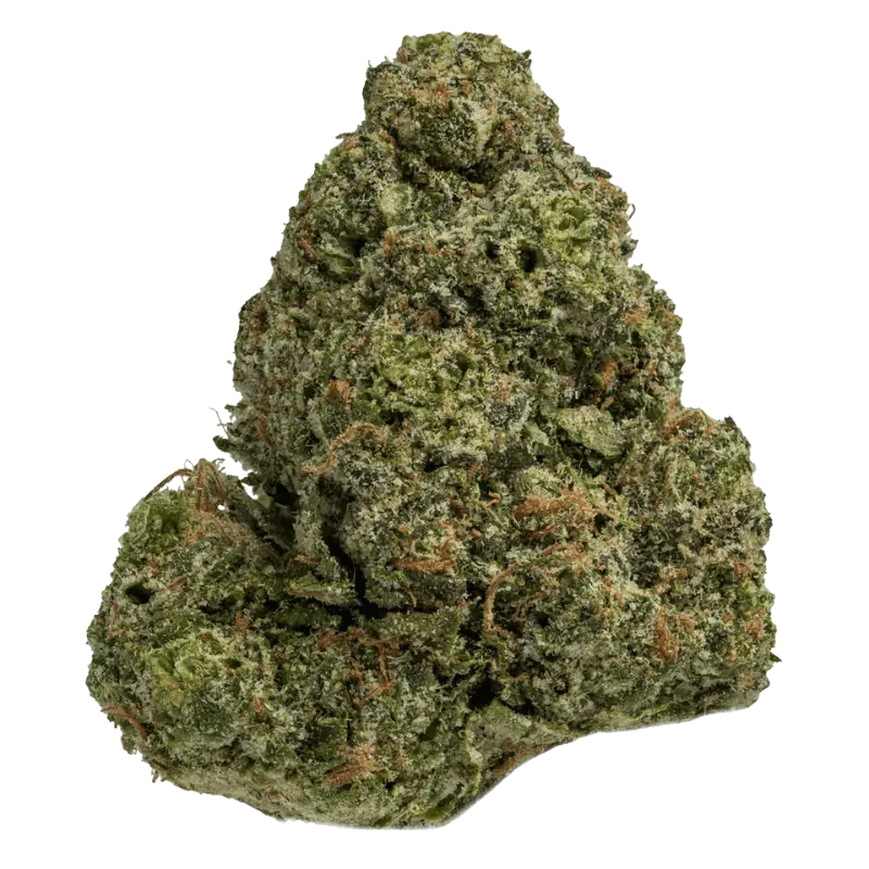 Fleur CBD Rainbow Runtz Indoor 🍬🌿