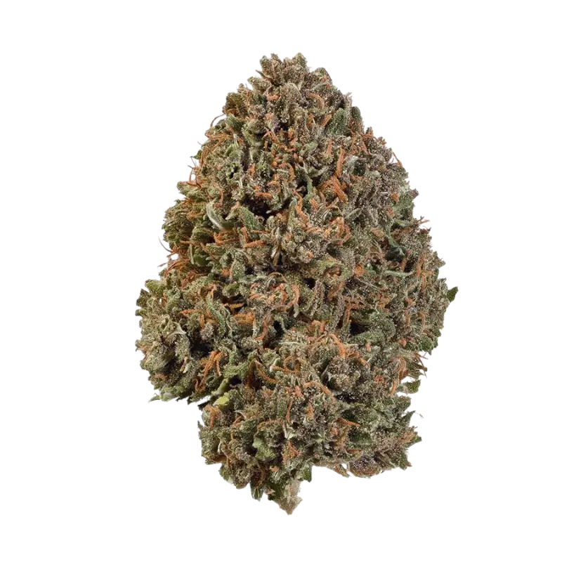 Fleur CBD Pink Rozay Green House 🌹🌿