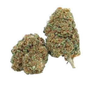 Fleur CBG9 Fruity Punch 50% 🇨🇭🍍🌿
