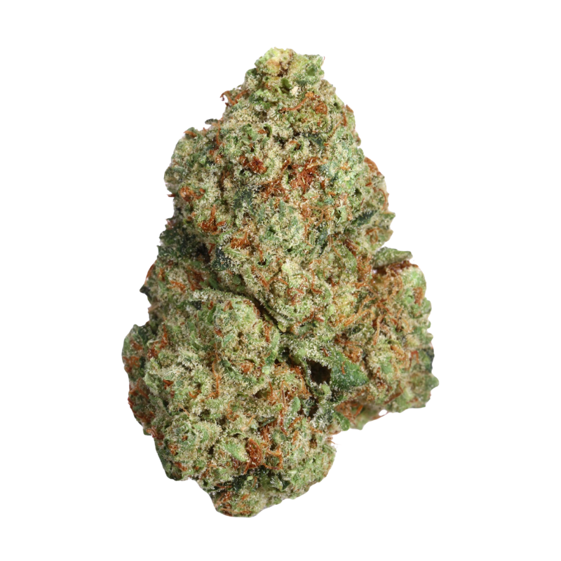 Fleur THV-N10 Gary Payton 40% 🇺🇸🍪🌿