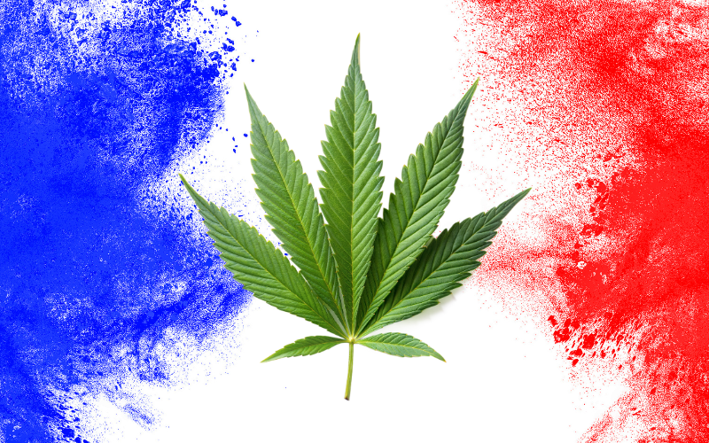 Légalité du THV N10 en France et en Europe selon le Ministère de l’Agriculture