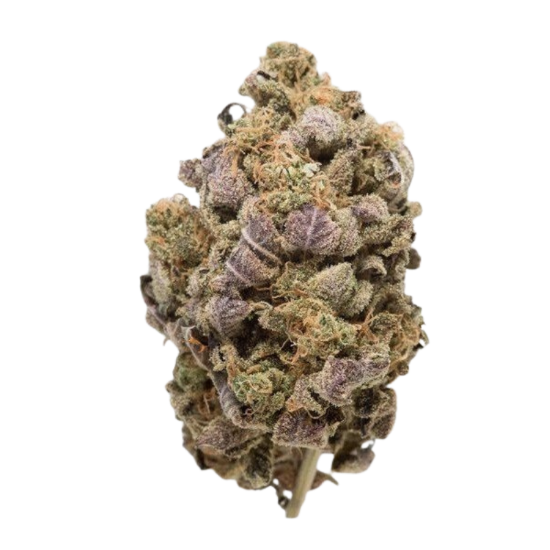 Fleur THV-N10 Blue Widow 40% 🇺🇸🔵🌿
