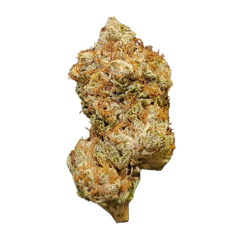 Fleur CBD White Cheddar Cosmic Haze Premium 🧀🌿