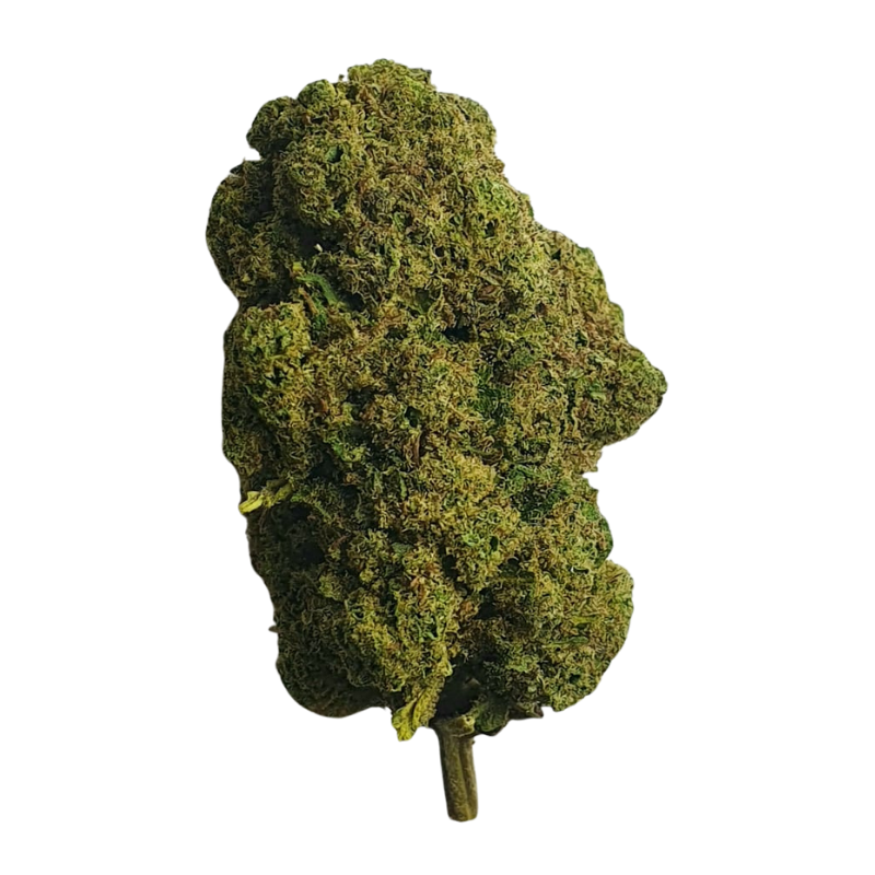 Fleur THCX Mandarine 20% 🇨🇭🍊🌿
