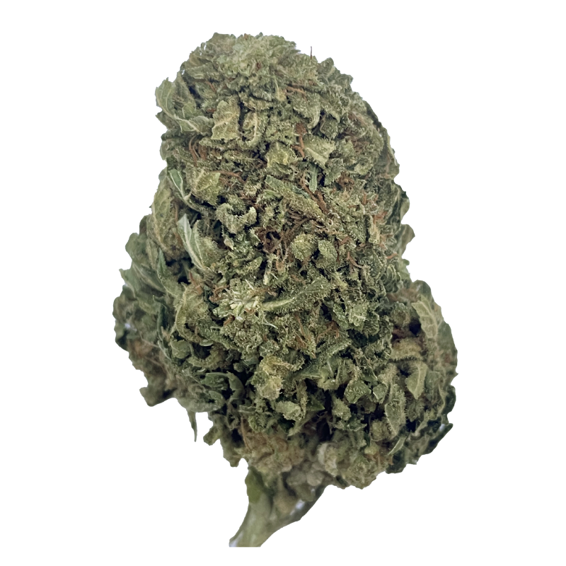 Fleur CBD White Widow Discount🕸️🌿